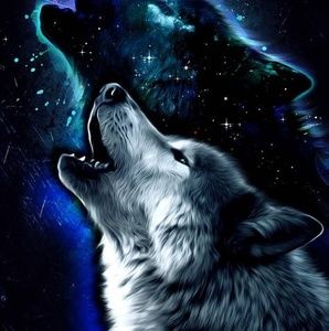 Meet your Posher, Karla